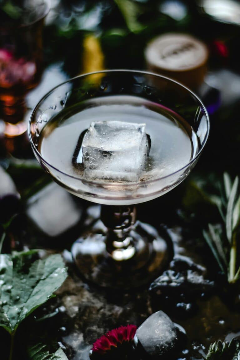 Combien de temps faut-il pour faire des glaçons pour ses cocktails maison ?