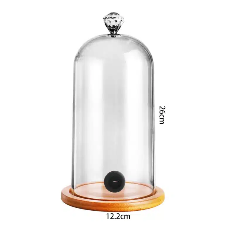 Mini cloche en verre cocktail moléculaire 12