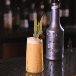 Alternative view of Le Fruit MONIN Coco 50cl -  pour Cocktails, Toppings et Desserts