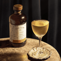 Alternative view of Cordial Baie de Rue MONIN 48.5 cl - Pour Cocktails Premium