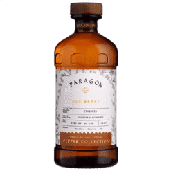 Cordial Baie de Rue MONIN 48.5 cl - Pour Cocktails Premium