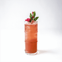 Alternative view of Sirop Rhubarbe MONIN 70cl - Pour Cocktails et Boissons Rafraîchissantes