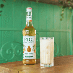 Alternative view of Concentré Pure Pêche Abricot MONIN 70cl - Pour Cocktails et Limonades