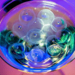 Calcium - Sphérification Cocktail - 500g – Image 4