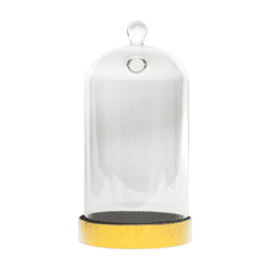 Grande cloche en verre avec socle doré