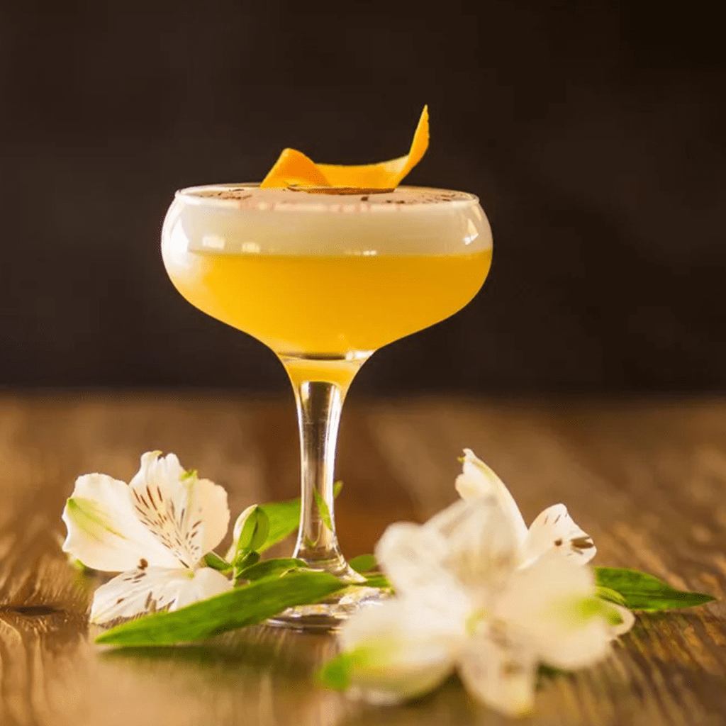 Sirop Gomme MONIN 70cl - pour Cocktails ou Latte