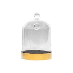 Petite cloche en verre avec socle doré