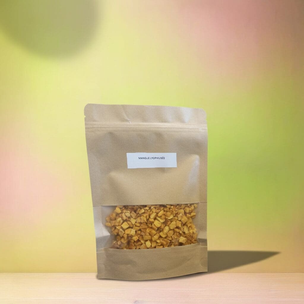 Mangue lyophilisée en dès 100g