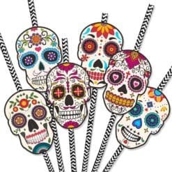Pailles Halloween Calavera (x24)
