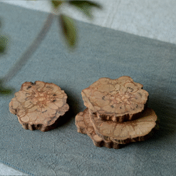 Dessous de verre Tronc d’Arbre – protection de table – vue 1