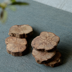 Dessous de verre Tronc d’Arbre – protection de table – vue 2
